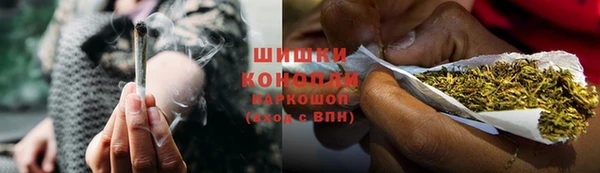 дурь Богданович