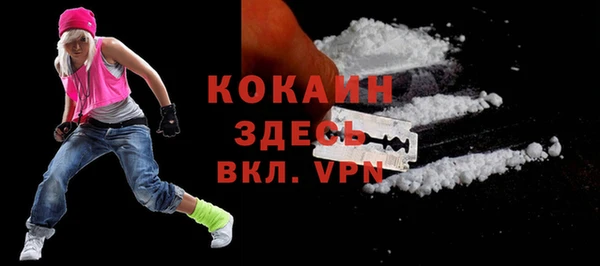первитин Богородицк