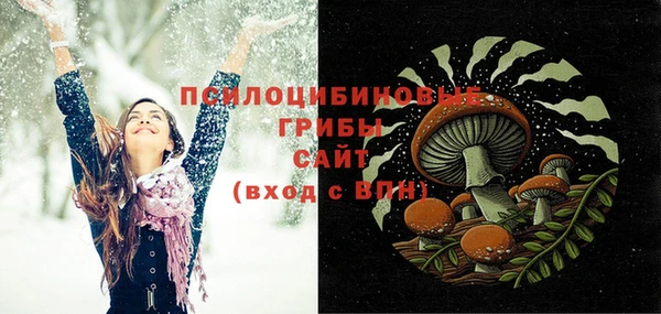 дурь Богданович