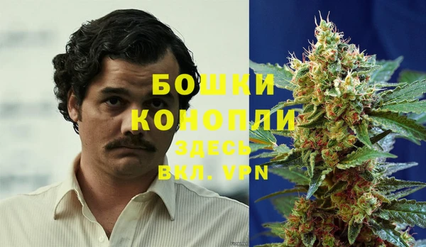 первитин Богородск