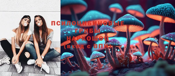 первитин Богородск