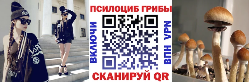 Псилоцибиновые грибы Cubensis Киреевск